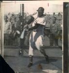 1954-69 Ted Williams Boston Red Sox The Chicago Sun-Times Collection Archives Original Photos (Chicago Sun-Times Hologram/MEARS Photo LOA) - Lot of 12
