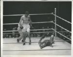 1923 Jack Dempsey Knocks Out Luis Firpo at Polo Grounds "Rogers Photo Archive" Original 7" x 9" Photo (MEARS Photo LOA)