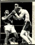 1973 Muhammad Ali Joe Bugner "The Chicago Sun-Times Collection Archives" Original Photo (Chicago Sun-Times Hologram/MEARS Photo LOA)