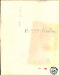 1954 Joe DiMaggio Marylin Monroe Divorce Papers The Chicago Sun-Times Collection Archives Original Photos (Chicago Sun-Times Hologram/MEARS Photo LOA) - Lot of 2