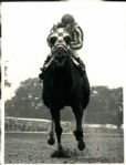 1973 Secretariat Belmont Stakes Triple Crown Winner "The Sporting News Collection Archives" Original Photo (Sporting News Collection Hologram/MEARS Photo LOA)