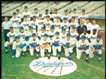 1963 Los Angeles Dodgers World Series Champions Team 8 1/2" x 11" Photo