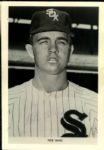 1960s Chicago White Sox 5 x 7 Eugene Lewis Studio Photos - Lot of 38 w/ Ted Kluszewski Larry Doby Ted Lyons Dave DeBusschere