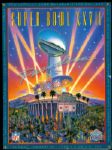 Super Bowl Program Collection (14)