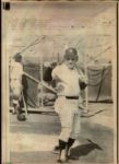 1940s to 1990s Assorted Baseball Photos The Sporting News Original Generation 1 Photos (MEARS Photo LOA) - Lot of 900