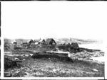 1900 to present Greatest Photo Lot of All Time Lot of Americana, History, Politics, Sports, and Everyday American Life