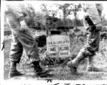 1950s to Present Americana Pop Culture Original Photo Archive 2,500+ different photo