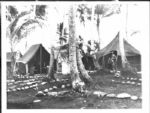 1950s to Present Americana Pop Culture Original Photo Archive 2,500+ different photo