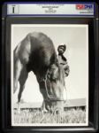 1973 Secrerariat (Famed Racehorse) Type 1 7" x 9" Photo (PSA/DNA)