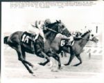 1960s circa Horse Racing Billiards Presidential Boxing Americana TSN Collection Archives Original Photo (Sporting News Collection Hologram/MEARS Photo LOA) - Lot of 14