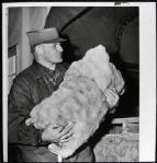 1960s Ray Nitschke Green Bay Packers Vintage/Modern Photographs - Lot of 11