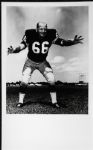 1970s Ray Nitschke Green Bay Packers Personal Photos - Lot of 65