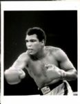 1966-96 Cassius Clay / Muhammad Ali The Denver Post Photo Archives Original Photos (Denver Post Archives Hologram/MEARS Photo LOA) - Lot of 35