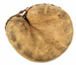 1920s  Salesmans Sample Catchers Mitt 