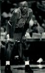 1985-95 Michael Jordan and Scottie Pippen Chicago Bulls Chicago Sun-Times Original Photo (Sun Times Hologram/MEARS Type 1 Photo LOA) - Lot of 29
