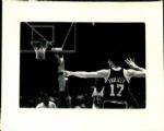 1970-85 Boston Celtics Greats - Bird Havlicek McHale Johnson Auerbach Bing Cowens TSN Collection Archives Original 8 x 10 Photo (Sporting News Collection Hologram/MEARS Photo LOA) - Lot of 40