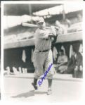 1950s-60s Brooklyn Dodger Signed 8 x 10 Photo - Lot of 65 w/Babe Herman Billy Herman - (MEARS Auction LOA)