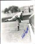 1950s-60s Brooklyn Dodger Signed 8 x 10 Photo - Lot of 65 w/Babe Herman Billy Herman - (MEARS Auction LOA)
