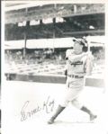 1950s-60s Brooklyn Dodger Signed 8 x 10 Photo - Lot of 65 w/Babe Herman Billy Herman - (MEARS Auction LOA)