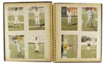 1960s-80s Appleton Foxes Photograph Collection A Candid Look 100s of Photos of Foxes THE ULTIMATE PHOTO COLLECTION 