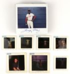 1960s-80s Appleton Foxes Photograph Collection A Candid Look 100s of Photos of Foxes THE ULTIMATE PHOTO COLLECTION 