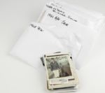 1960s-80s Appleton Foxes Photograph Collection A Candid Look 100s of Photos of Foxes THE ULTIMATE PHOTO COLLECTION 
