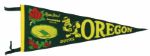 1950s-90s College Football Full Size Pennant Collection - Lot of 15 Incl. College All Stars 