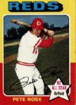 1957-81 Topps Baseball Card Collection - Over 775 Cards w/Babe Ruth Thurman Munson Clemente Rose  MOST 1960s