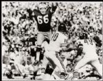 1983-90s Ray Nitschke Green Bay Packers 11 x 14 Vern Biever Photo & Jersey Retirement Photo 