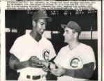 1940-60 Chicago Cubs “Seattle Times” Original News Photo (“Seattle Times” Hologram/MEARS LOA) - Lot of 15