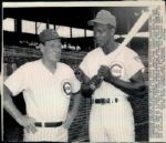 1940-60 Chicago Cubs “Seattle Times” Original News Photo (“Seattle Times” Hologram/MEARS LOA) - Lot of 15