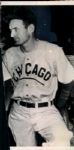 1940-60 Chicago Cubs “Seattle Times” Original News Photo (“Seattle Times” Hologram/MEARS LOA) - Lot of 15