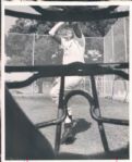 1910-91 Massive Collector/Dealer Baseball Lot, 100% Unpicked, Complete "St. Petersburg Times" Original Photos ("St. Petersburg" Hologram/MEARS LOA) - Lot of 20,000