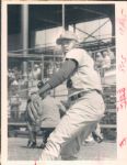 1910-91 Massive Collector/Dealer Baseball Lot, 100% Unpicked, Complete St. Petersburg Times Original Photos (St. Petersburg Hologram/MEARS LOA) - Lot of 20,000
