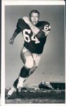 1919-91 Massive Collector/Dealer Football Lot St. Petersburg Times Original Photos, 100% Unpicked, Complete (St. Petersburg Hologram/MEARS LOA) - Lot of 27,000