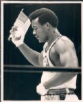 1910-91 Massive Collector/Dealer Lot Basketball Boxing Golf Tennis Olympics, 100% Unpicked, Complete St. Petersburg Times Original Photos (St. Petersburg Hologram/MEARS LOA) - Lot of 85,000