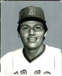1926-87  Boston Red Sox The Sporting News Collection Archives Original Photo - Lot of 30 w/Ted Williams Wade Boggs Carlton Fisk (Sporting News Collection Hologram/MEARS Photo LOA)