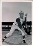 1934-63 Cincinnati Reds The Sporting News Collection Archives Original Photo - Lot of 9 w/ (4) Jim Maloney & Rollie Hemsley (Sporting News Collection Hologram/MEARS Photo LOA)