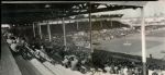 1939-57 Gilmore Field Pacific Coast League The Sporting News Collection Archives Original Photo - Lot of 2 Panoramic (Sporting News Collection Hologram/MEARS Photo LOA)