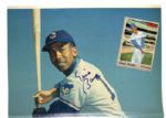 1980s Baseball Signed Publication - Lot of 17 With (3) Mattingly Mark Grace (2) Reggie Jackson Yaz Pete Rose - MEARS Auction LOA 