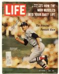 1980s Baseball Signed Publication - Lot of 17 With (3) Mattingly Mark Grace (2) Reggie Jackson Yaz Pete Rose - MEARS Auction LOA 