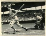 1917-41 Chicago Cubs The Sporting News Collection Archives Original Photos (Sporting News Collection Hologram/MEARS Photo LOA) - Lot of 42