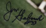 1960s Jim Grabowski Green Bay Packers Signed 24 x 36 Poster (MEARS Auction LOA)