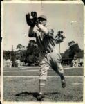 1936-40 Boston Bees The Sporting News Collection Archives Original Photos (Sporting News Collection Hologram/MEARS Photo LOA) - Lot of 23