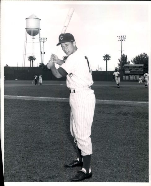 1961 Ron Santo Chicago Cubs "TSN Collection Archives" Original 8" x 10" Photo (Sporting News Collection Hologram/MEARS LOA)