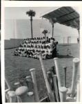 1967 Detroit Tigers Spring Training Team Picture "TSN Collection Archives" Original 8" x 10" Photo (Sporting News Collection Hologram/MEARS LOA)