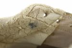 1980s Johnnie Gray Green Bay Packers Game Worn Cleats (Scott Waters/MEARS LOA/JSA)