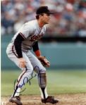 1970's-90's Signed MLB 8 x 10 Photos Cool Papa Bell Ripken Carew Ford Feller Dandridge - Lot of 12 (JSA)