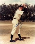 1970's-90's Signed MLB 8 x 10 Photos Cool Papa Bell Ripken Carew Ford Feller Dandridge - Lot of 12 (JSA)