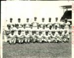 1920's-90's Baseball Basketball Football TSN Collection Archives Oiginal Photos (Sporting News Collection Hologram/MEARS Photo LOA) - Lot of 145